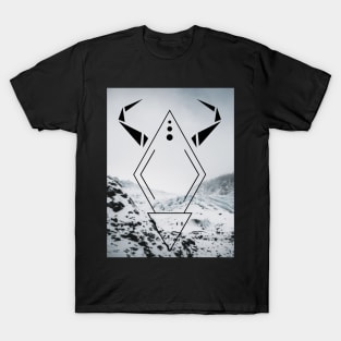 VIKING LOGO T-Shirt